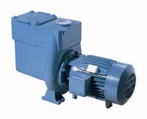 Commercial Pool Pumps