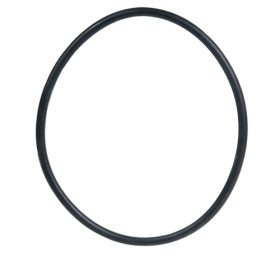 Sta-rite Pump Clamp O-ring