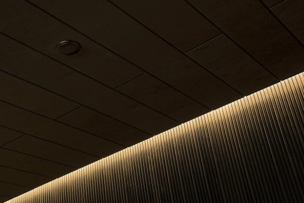 Tylo LED Light Strip Silhouette 6m +Transformer – 60 W - Image 2