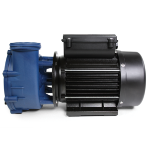 Alternative view of Gecko Maelstrom MS-1 Single Speed  2.5HP Pump
