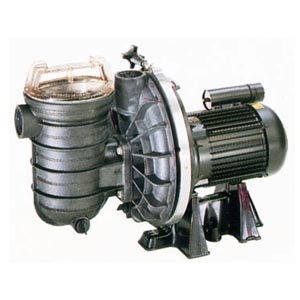 SR0753N | 0.75HP (0.56kW) Sta-Rite, 3 Phase - 1.5" suction & delivery